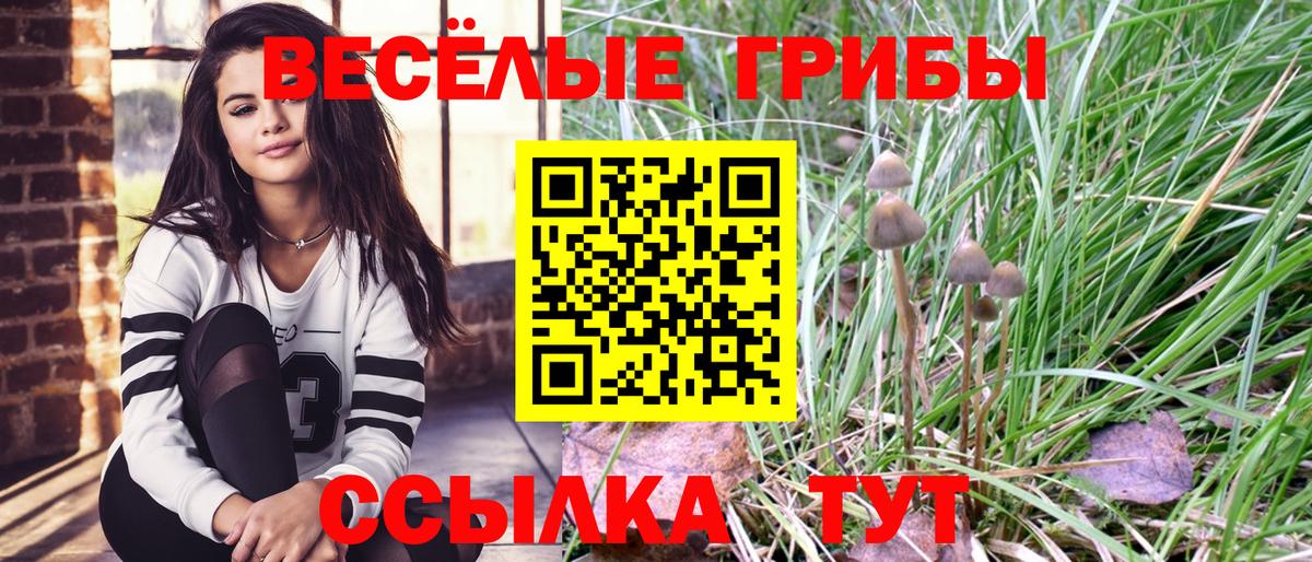 Псилоцибиновые грибы GOLDEN TEACHER Уссурийск