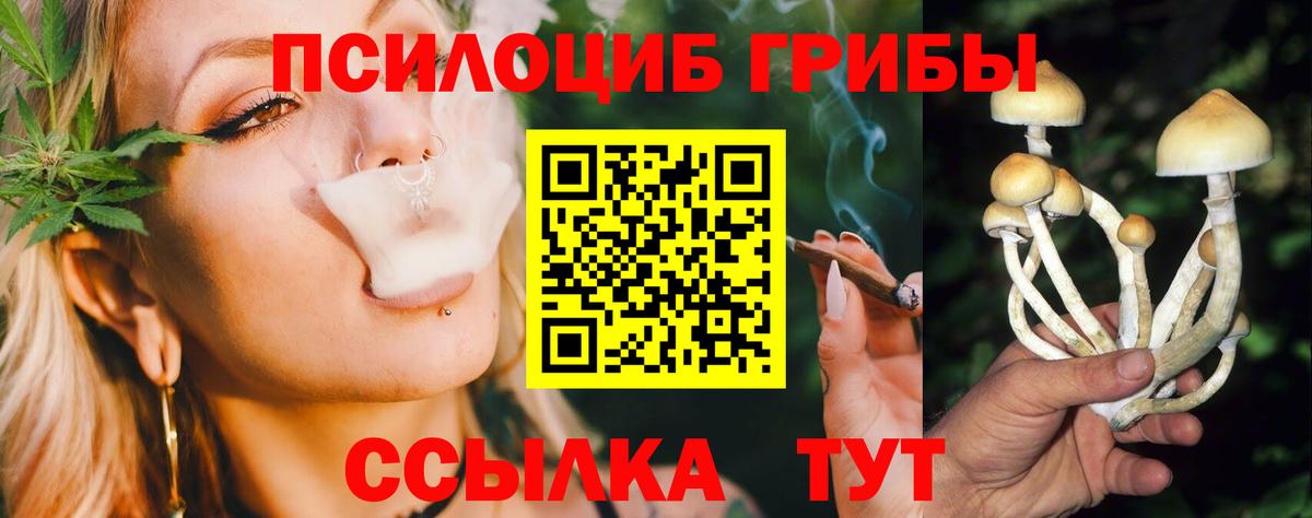 Галлюциногенные грибы мицелий  Вход с VPN  где купить наркотик  Уссурийск 